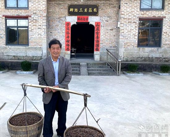 何道關(guān)與自己種的油茶果。黃錚 攝_副本.jpg.jpg