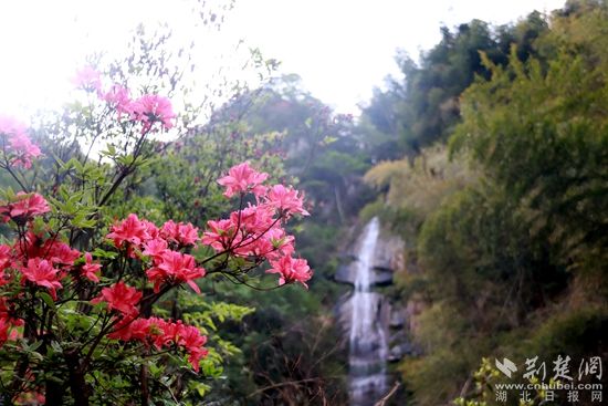 黃龍山頂，風(fēng)景如畫 黃錚 攝_副本.jpg.jpg
